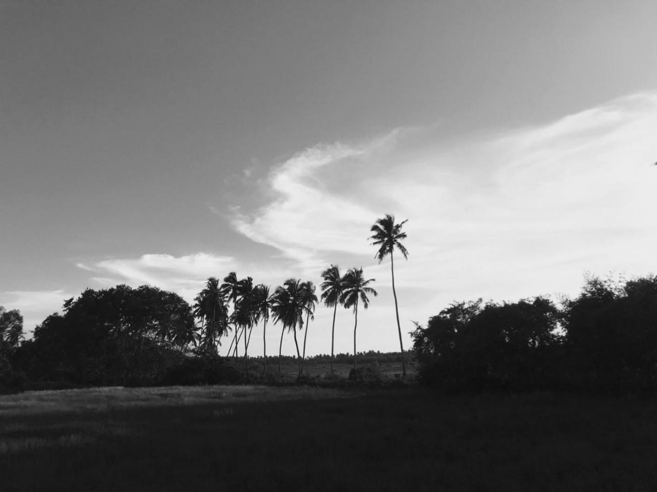 Craft Hostels Anjuna Esterno foto